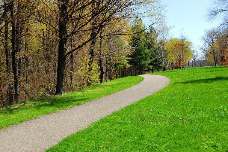 Walton Ferry Arboretum, United States